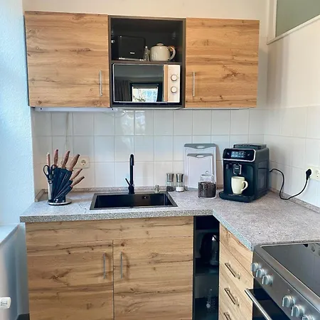Daire Stilvolles City-apartment Dresden-cotta Mit Balkon *